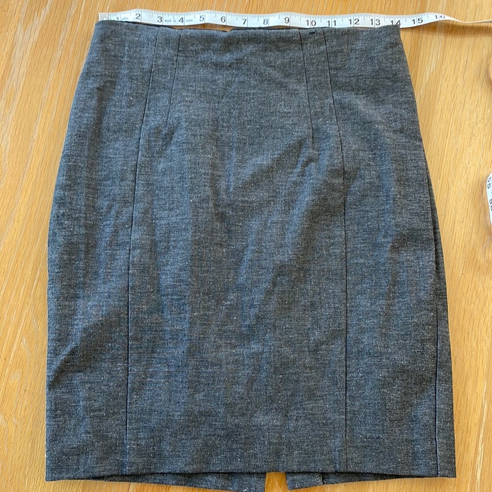 Express Pencil Skirt